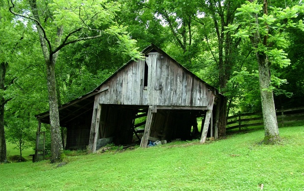 Old Forest Barn