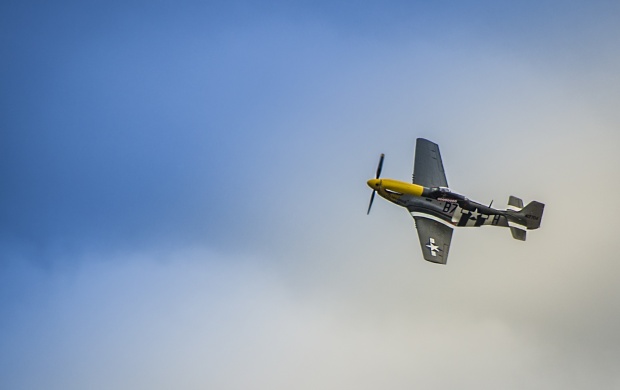 P51 Mustang The Plane