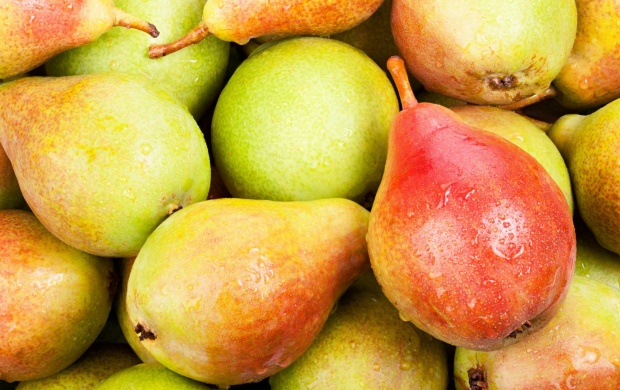 Pear Fruits