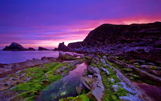 Purple Sunset on Rocky Shore