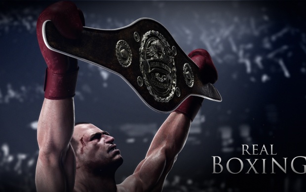 Real Boxing 2013
