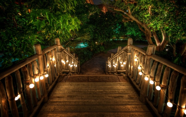 Romantic walkway into the forest