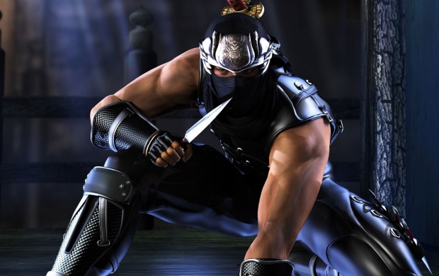 Ryu Hayabusa Ninja Gaiden