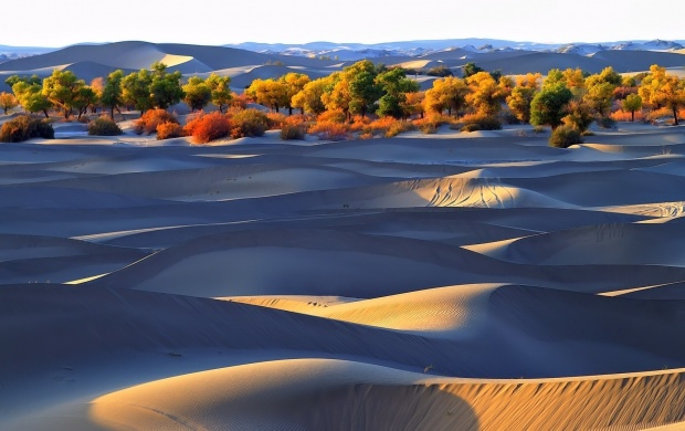 Sand Dunes With Shadows