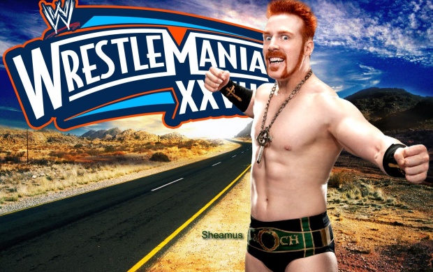 Sheamus Road To Wrestlemania