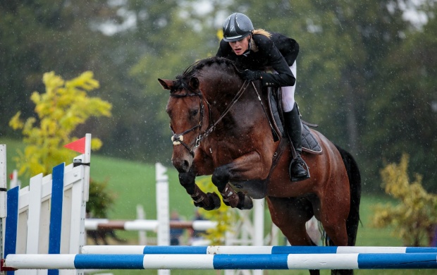 Show Jumping Horse Sports