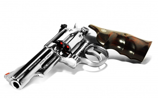 Smith & Wesson Gun