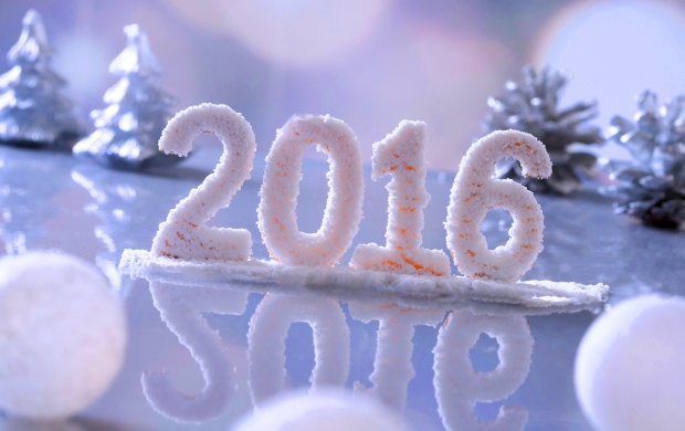 Snow New Year 2016