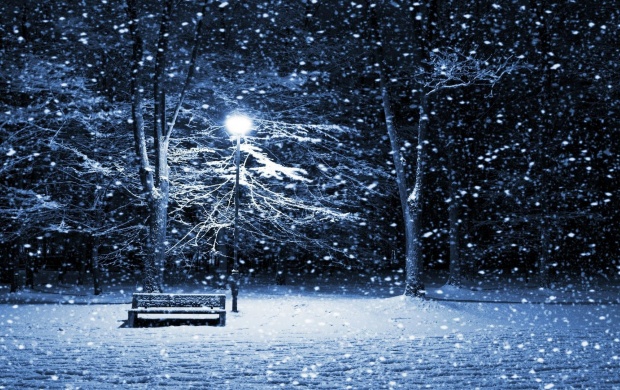 Snowing On Park Bench