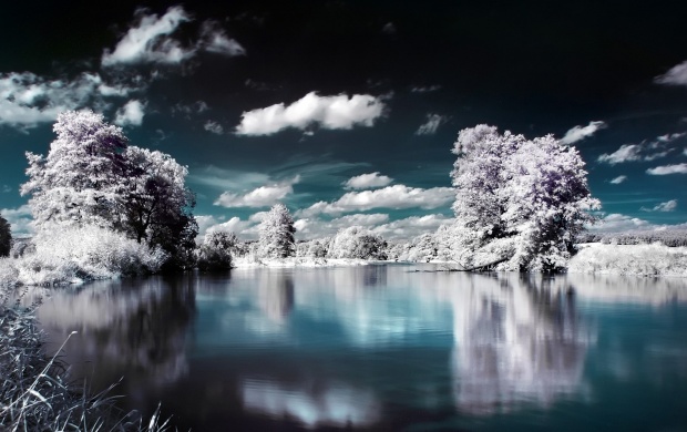 Snowy Trees Lake Reflection