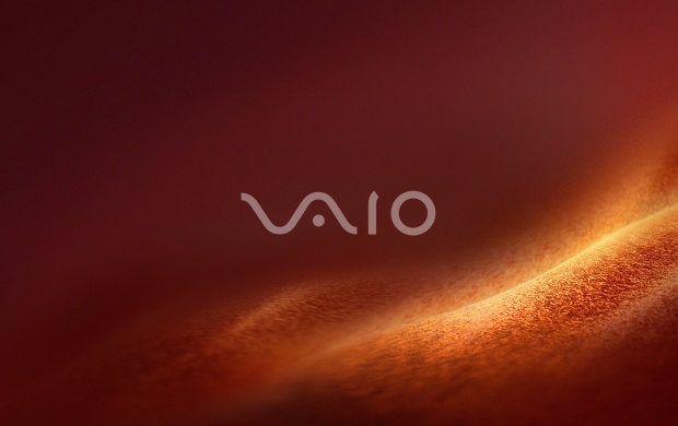 Sony Vaio Brown