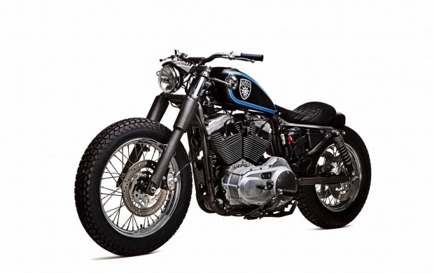 Stellalpina Harley Davidson