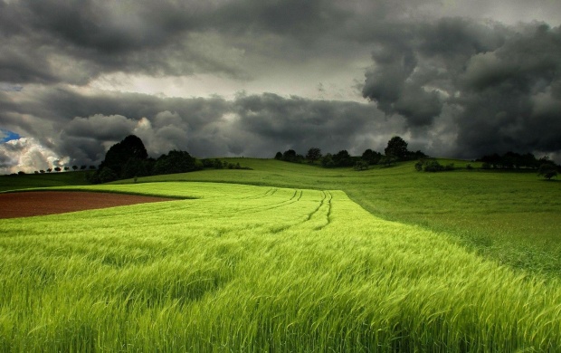 Storm Clouds Over a Green Field