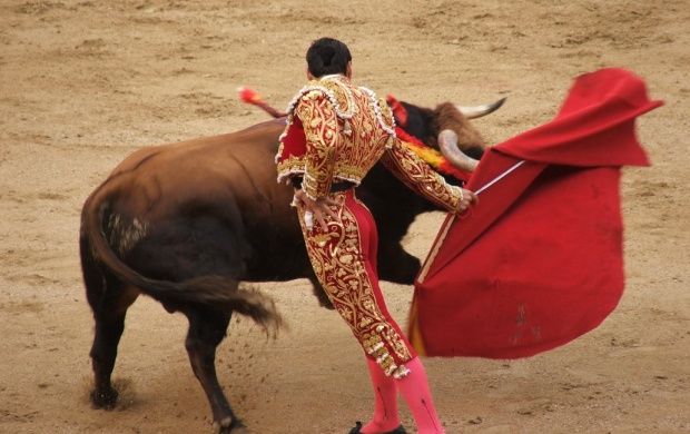 Styles Of Bullfighting