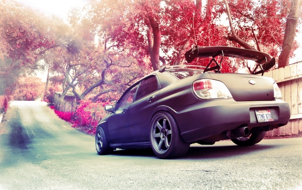 Subaru Impreza Autumn Road