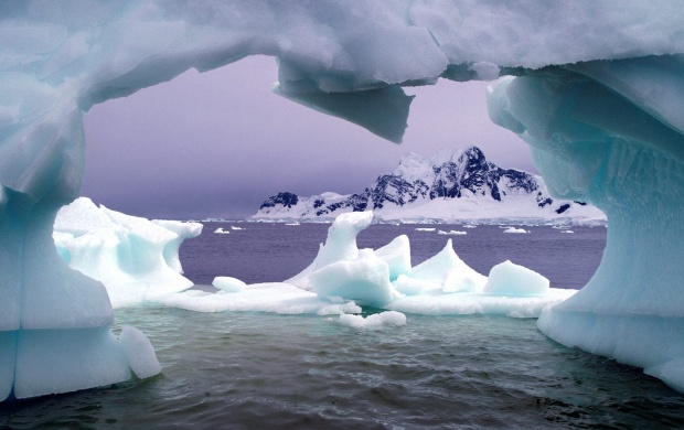 The Most Attractive Place - Antarctica