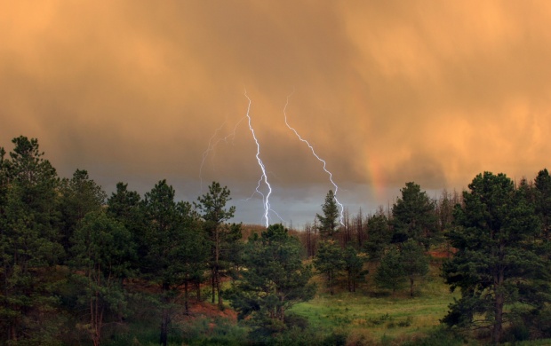 Thunder Storm Over the Forest