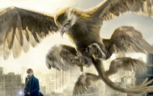 Fantastic Beasts And Where To Find Them Barnes And Noble