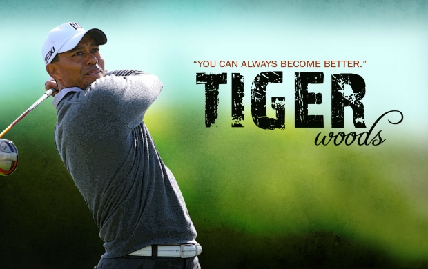 Tiger Wood Best Golf