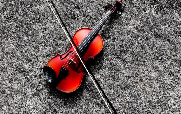 Violin And Its Bow