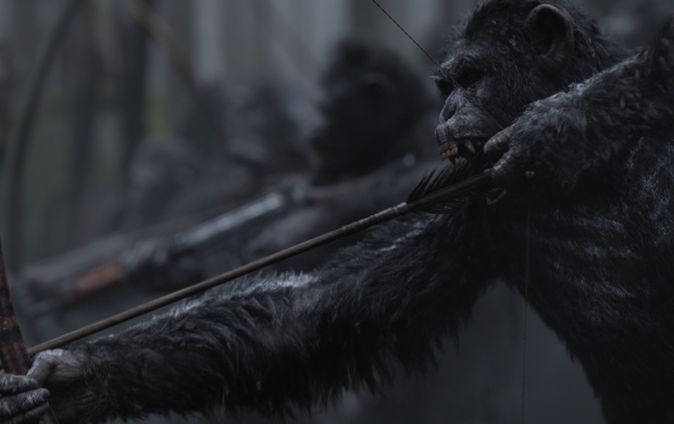 War For The Planet Of The Apes Movie Stills