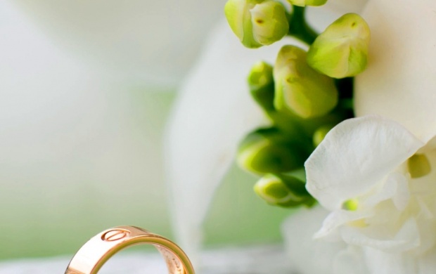 Wedding Rings Flowers