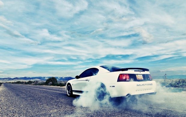 White Ford Mustang On Road