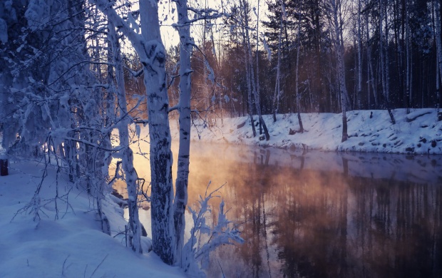 Winter Landscape With Snow Covered Tree Lake
