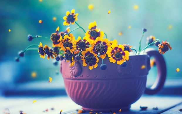 Yellow Flowers In Cup