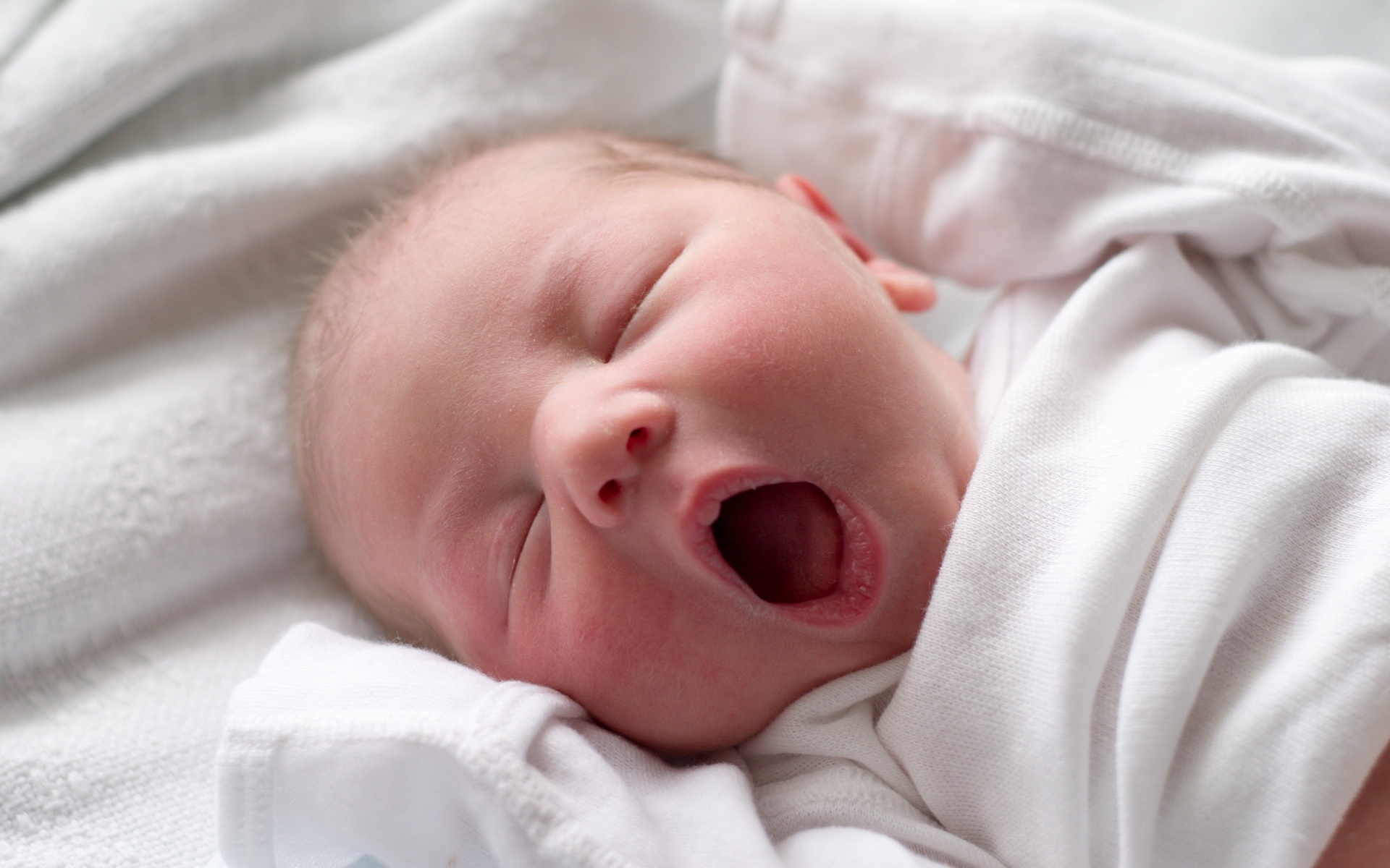 : Download Sleepy Baby Wallpaper, Sleepy Baby Free Wallpaper download ...
