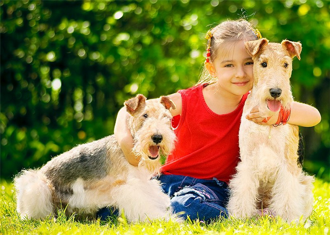 Beautiful woman with little girl and dog outdoors | Stock 