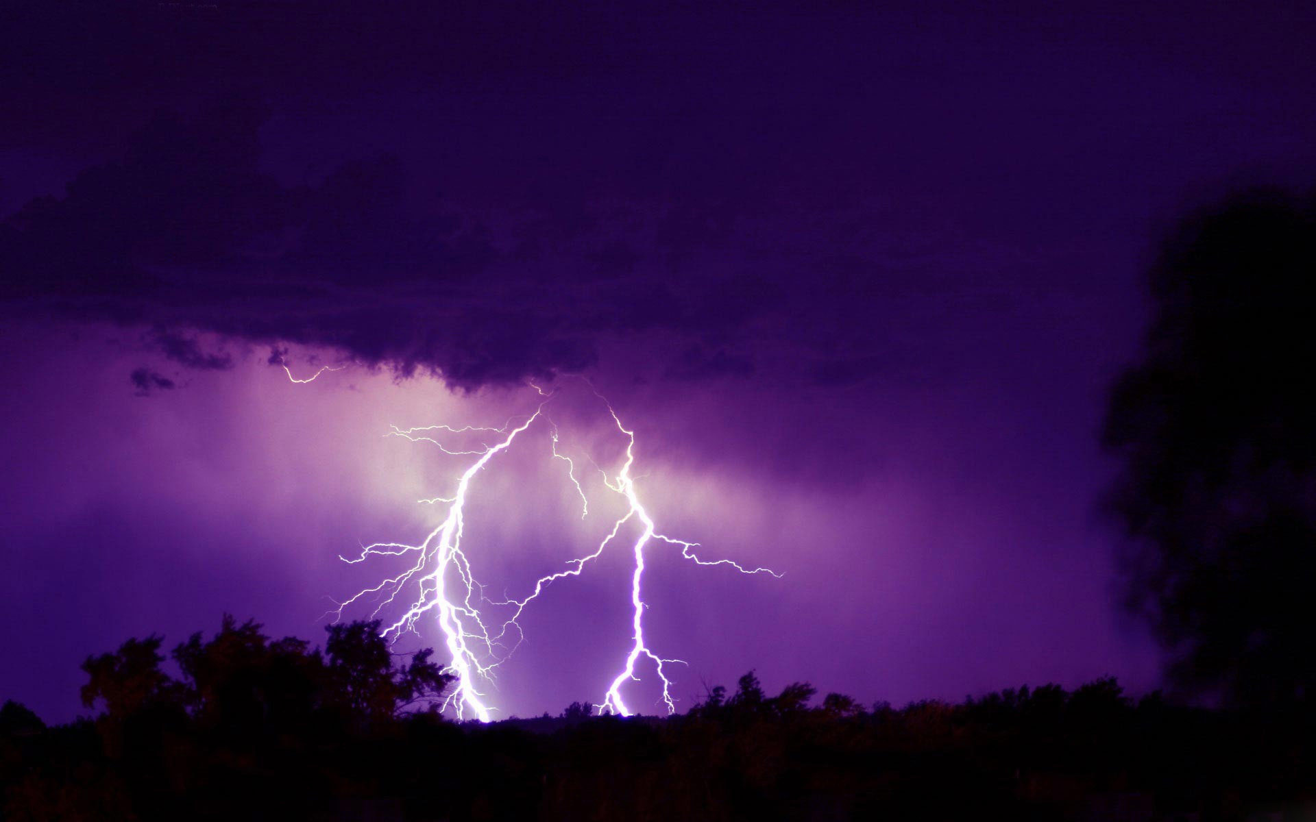 Attēlu rezultāti vaicājumam “Black + Purple”