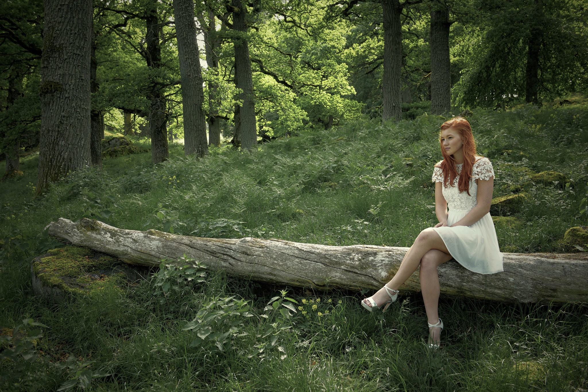 Girl Alone In The Forest Wallpapers 2048x1367 1135323