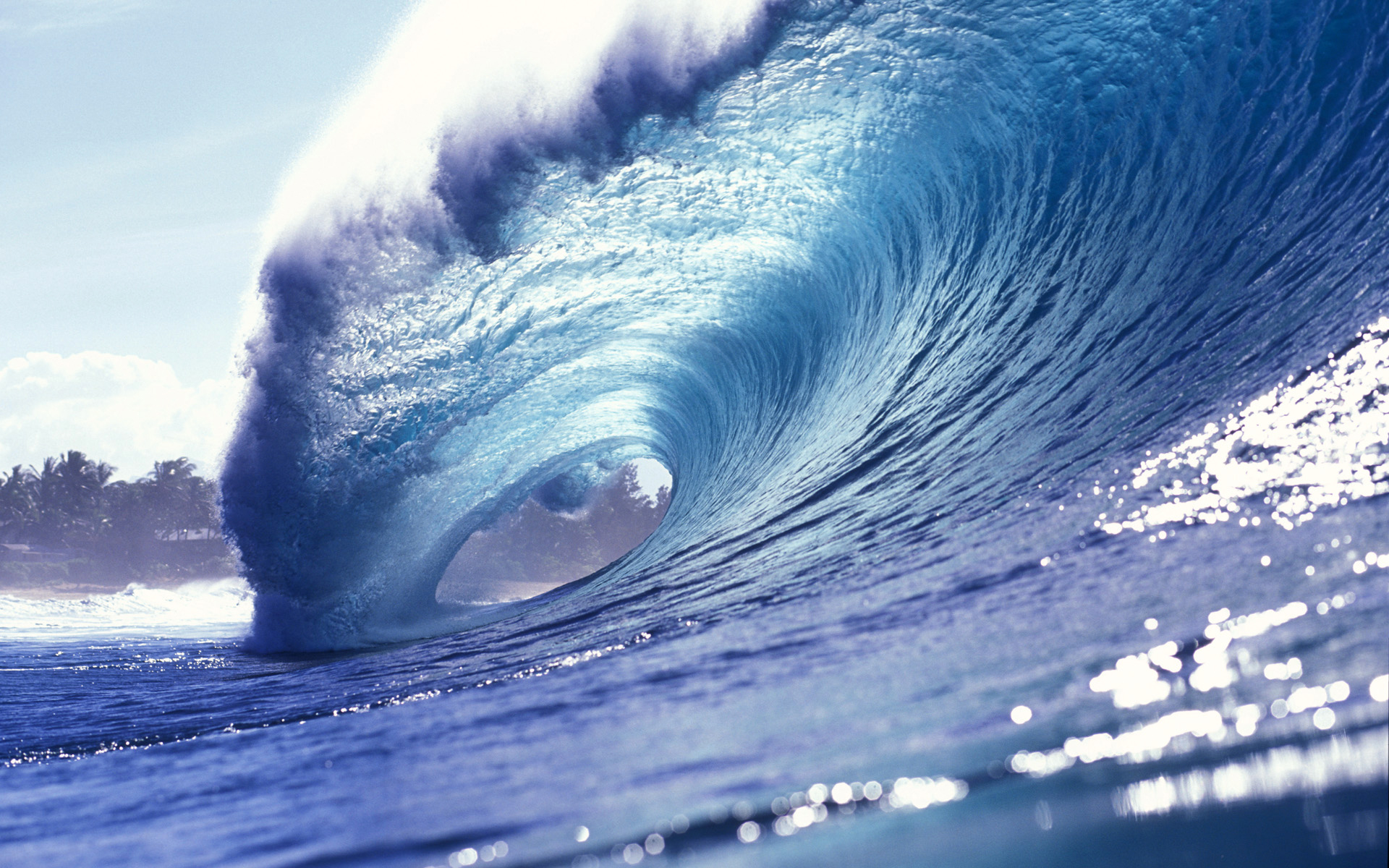 Surfing Wave Wallpapers - 1920x1200 - 1287258
