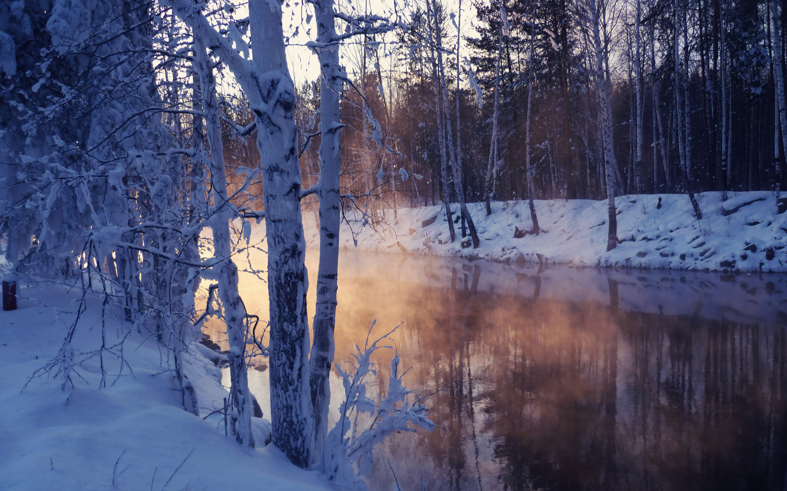 Winter Landscape With Snow Covered Tree Lake | 2560 x 1600 | Download ...
