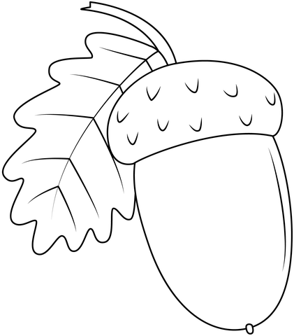 Acorn coloring page free printable coloring pages