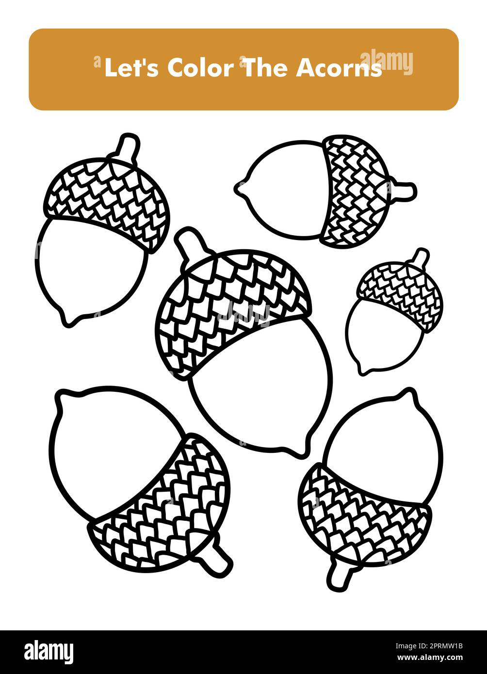 Acorns coloring book page in letter page size children coloring worksheet premium vector element stock photo