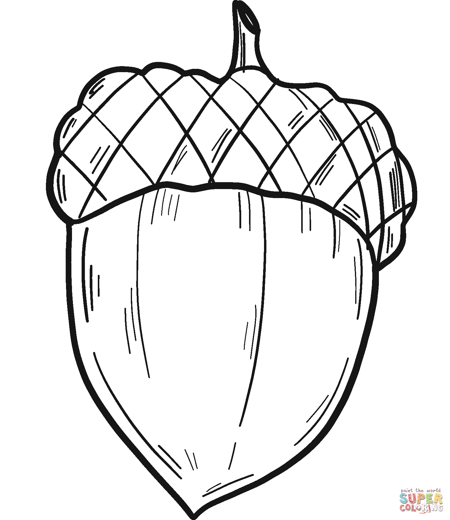 Acorn coloring page free printable coloring pages