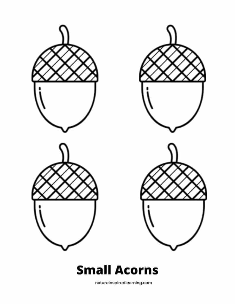 Acorn coloring pages perfect for autumn