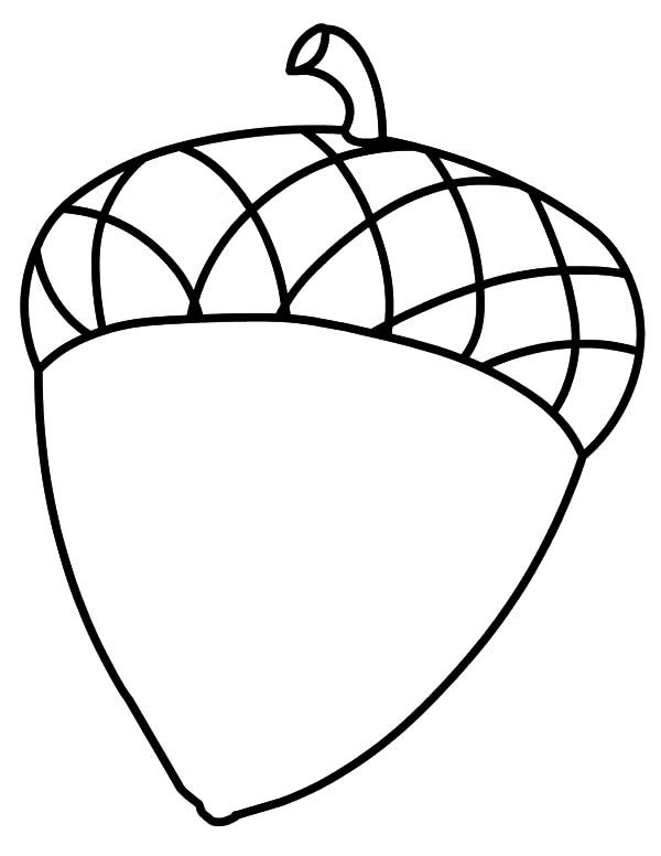 Fruit acorn coloring pages coloring sky fall leaves coloring pages fall coloring pages coloring pages
