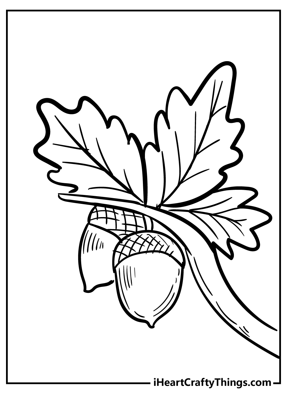 Acorn coloring pages free printables
