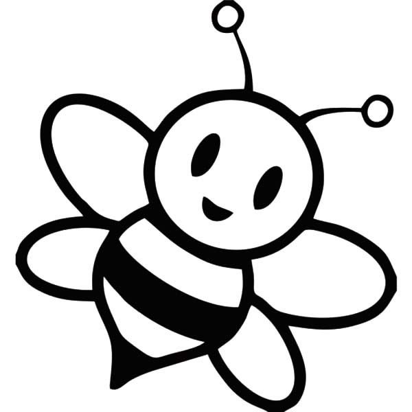 Coloring pages draw a bee honey bee coloring page bee a flower