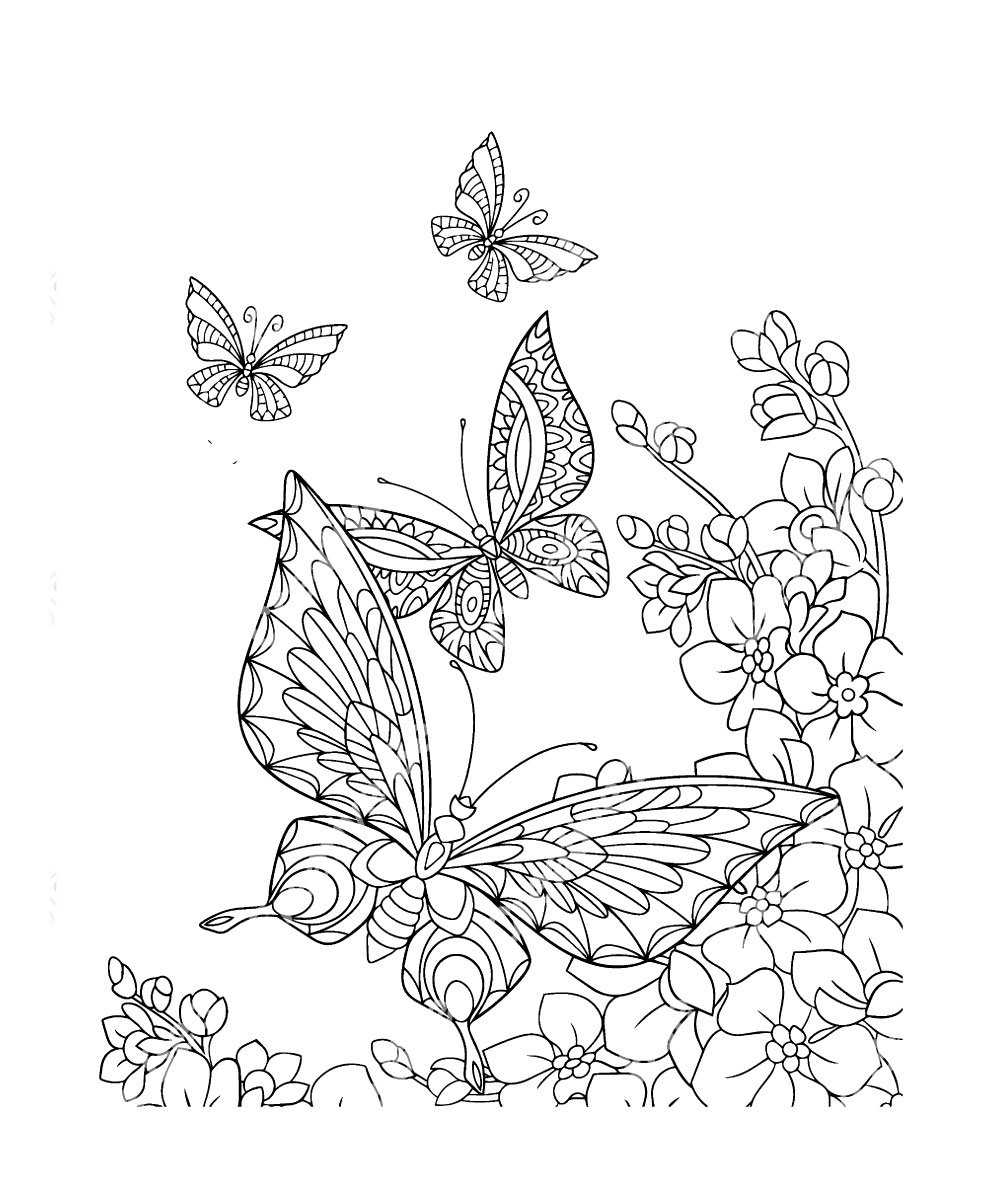 Flowers butterflies adult coloring book
