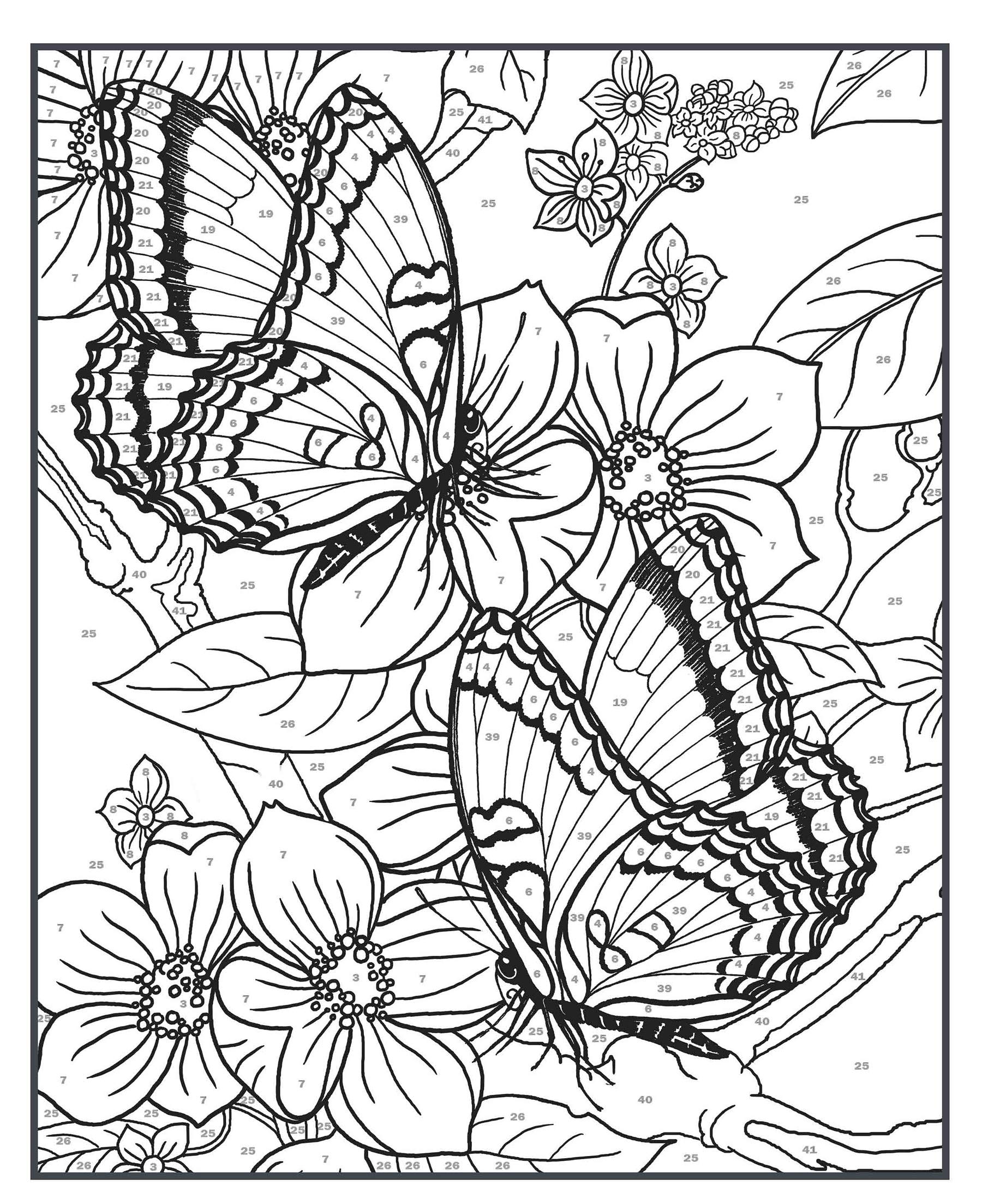 Creative haven butterflies color by number coloring book