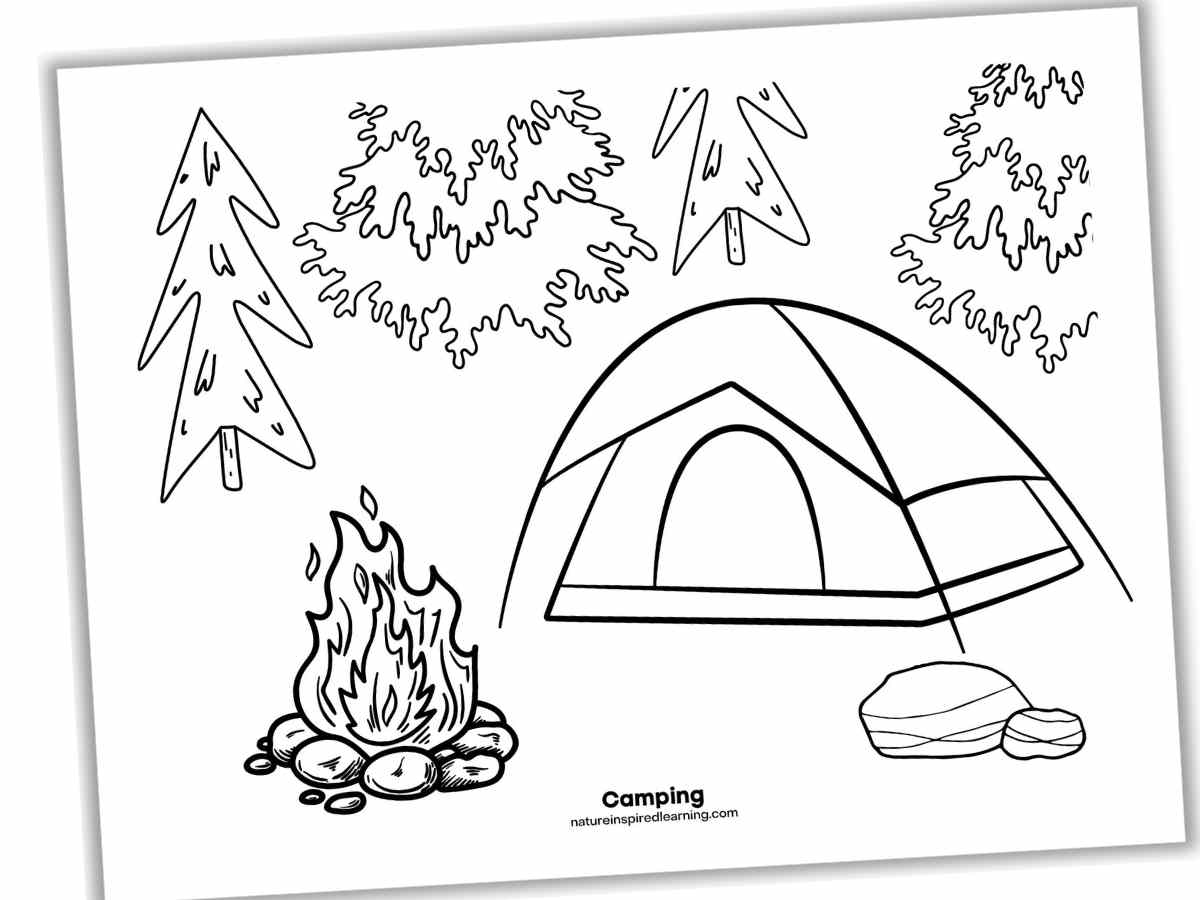 Camping coloring pages new
