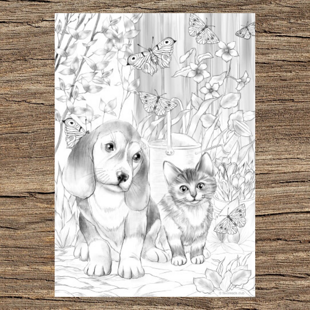 Kitty and dog printable adult coloring page from favoreads coloring book pages for adults and kids coloring sheets coloring designs