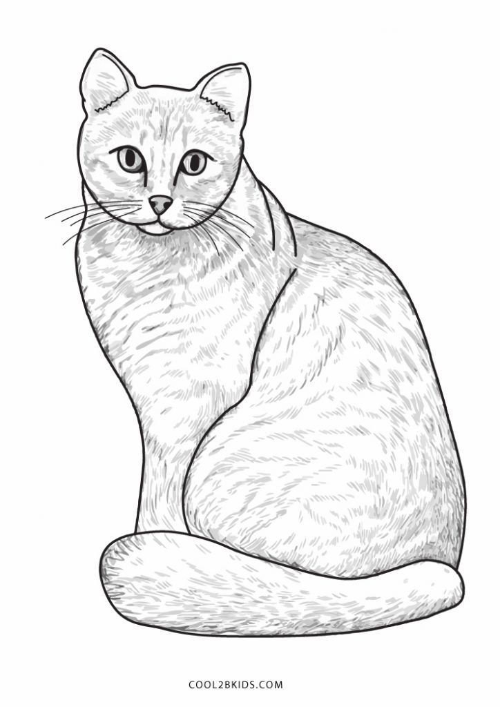 Free printable cat coloring pages for kids cat coloring page cat coloring book dog coloring page