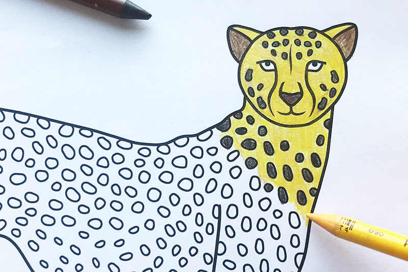 Cheetah free printable templates coloring pages
