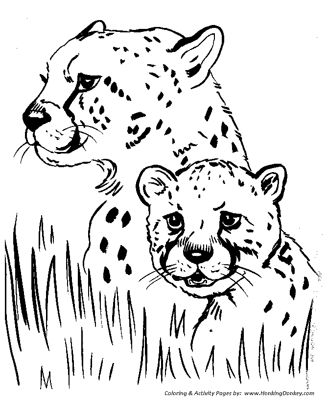 Wild animal coloring pages cheetah coloring page and kids activity sheet