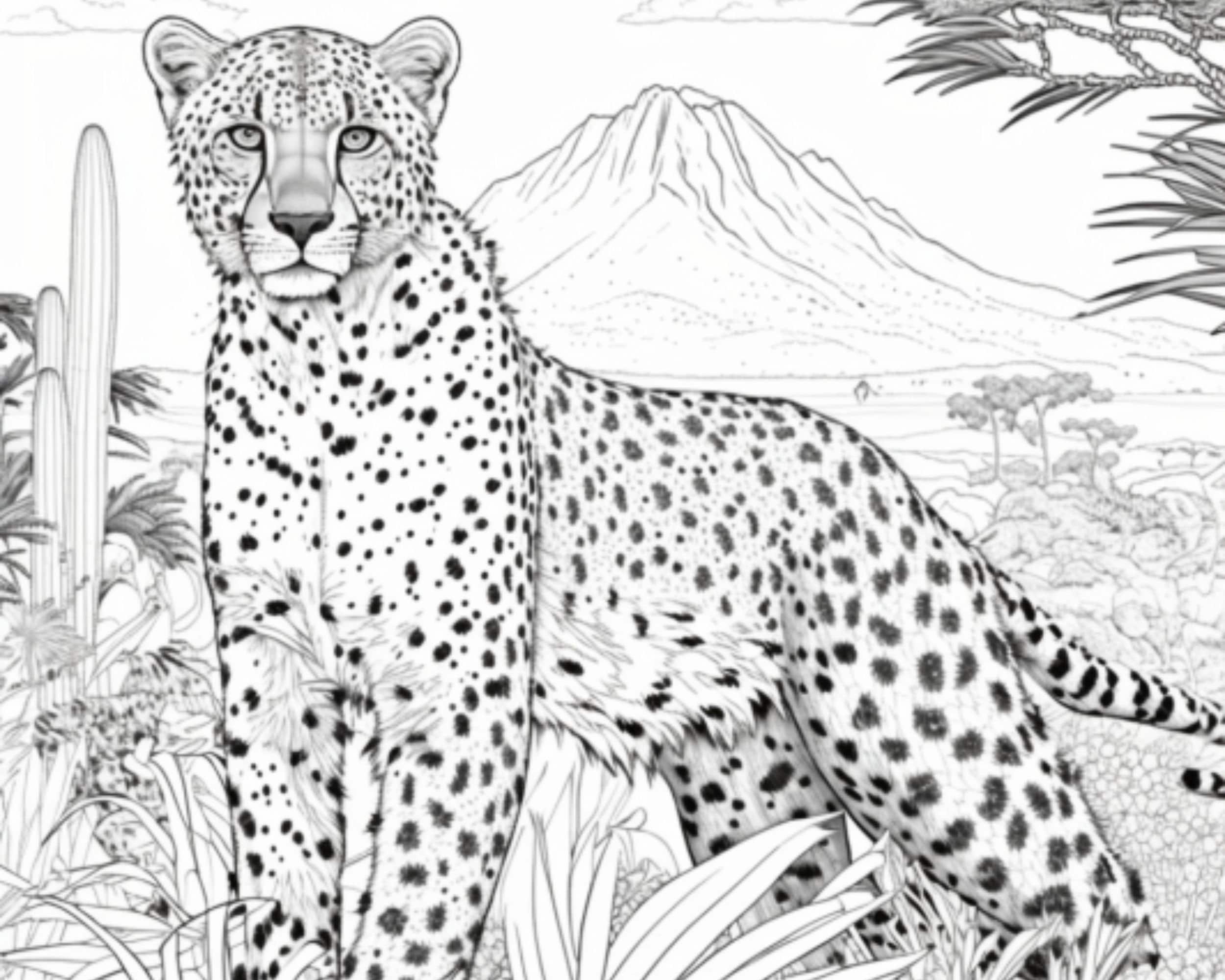 Cheetah coloring pages elegant black white outlined printable pdf in us letter and a size digital download
